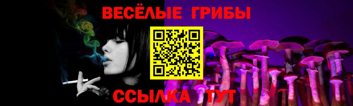 Киров  Галлюциногенные грибы прущие грибы  Вход с VPN  Галлюциногенные грибы Psilocybine cubensis 